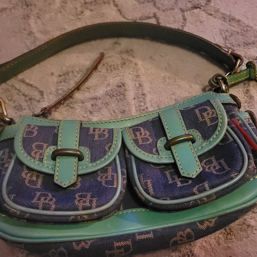 Designer Blue and Green Women's Bag